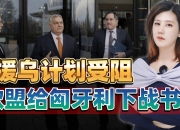 爱游戏ayx官方网站-关于匈牙利硬战晋级，斩获小组第二的信息